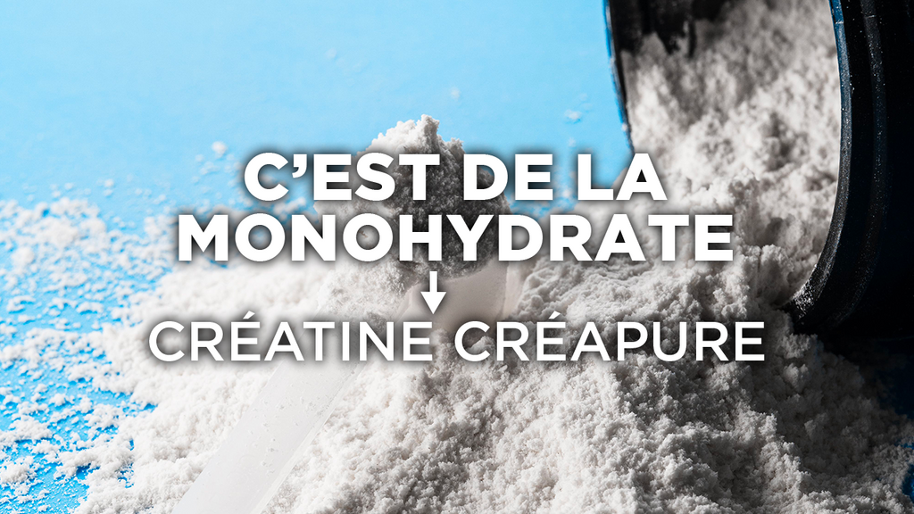 La CREAPURE c’est aussi de la créatine monohydrate