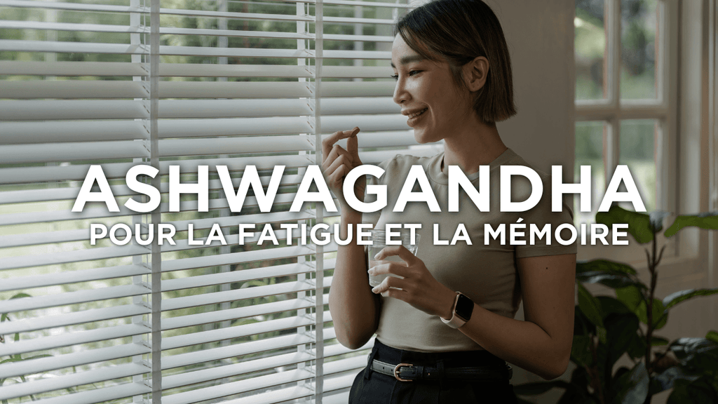 L’ashwagandha pour améliorer la mémoire et réduire la fatigue