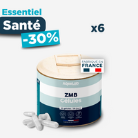 ZMB Gélules : Zinc + Magnésium + Taurine + Vitamine B6