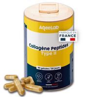 Peptides de collagène type 2 – Colartix® en gélules