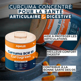 Curcuma BCM95® Curcugreen® - Gélules