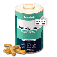 Multivitamines et minéraux – Gélules