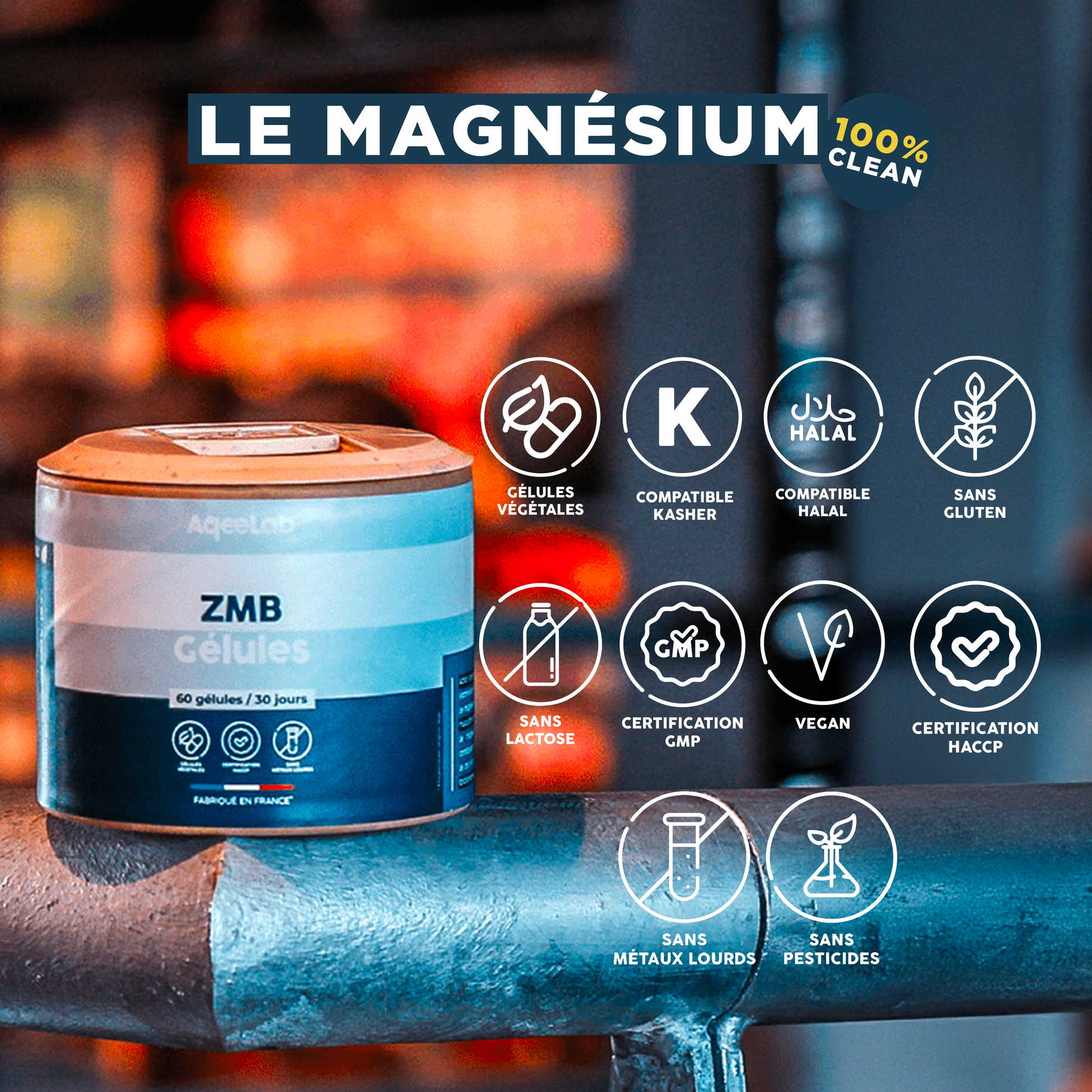 ZMB Gélules : Zinc + Magnésium + Taurine + Vitamine B6