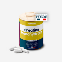 Créatine Monohydrate Gélules