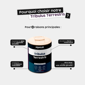 Tribulus Terrestris - AqeeLab Nutrition