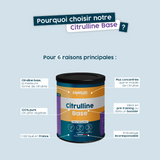 Citrulline Base - Poudre