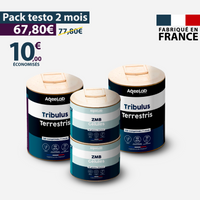 Packs Testostérone